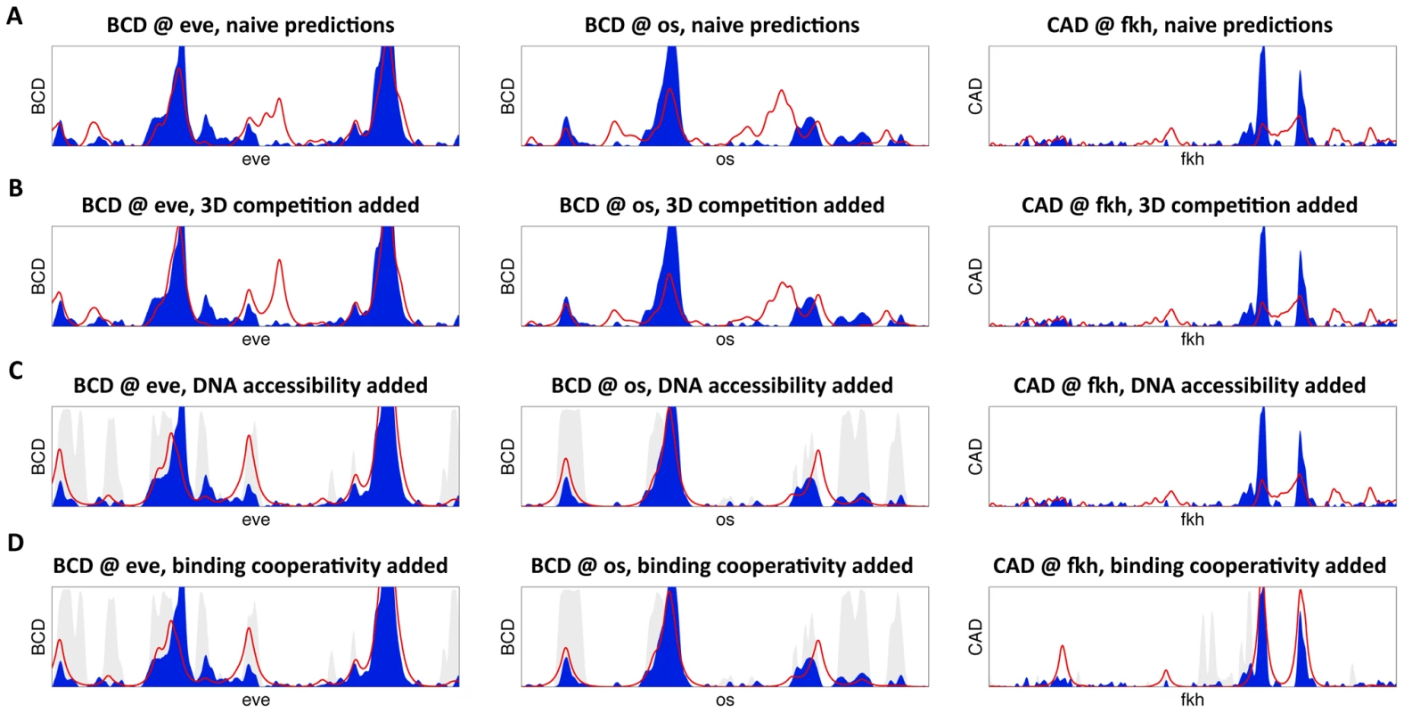 High-resolution predictions of protein-DNA binding landscape.