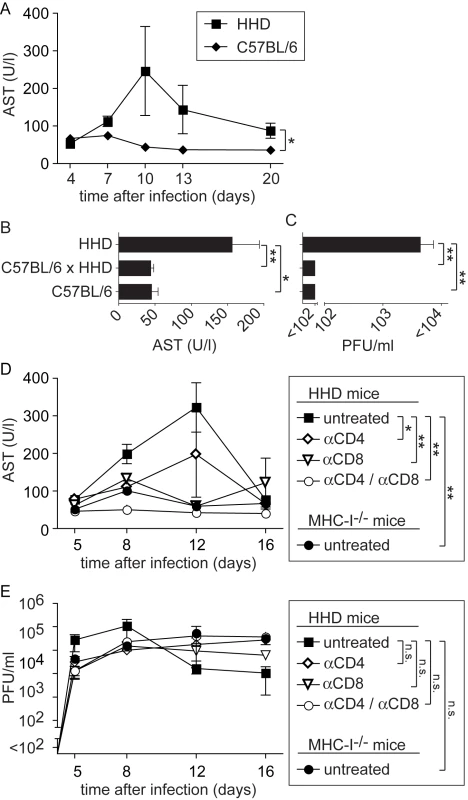 MHC-I- and T cell-dependent AST elevation suggest T cell-dependent immunopathogenesis of LF.