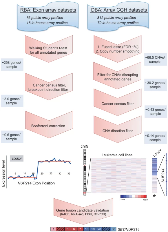 Breakpoint analysis for discovering novel cancer gene rearrangements.
