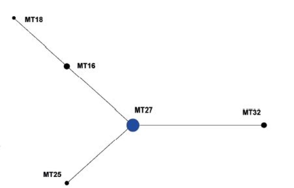 Diagram eBURST, MLVA analýza kmenů &lt;i&gt;B. pertussis,&lt;/i&gt; ČR, 2008–2015 (červen)
Figure 4. eBURST diagram, MLVA analysis of &lt;i&gt;B. pertussis&lt;/i&gt; strain collection, Czech Republic, 2008–2015 (June)