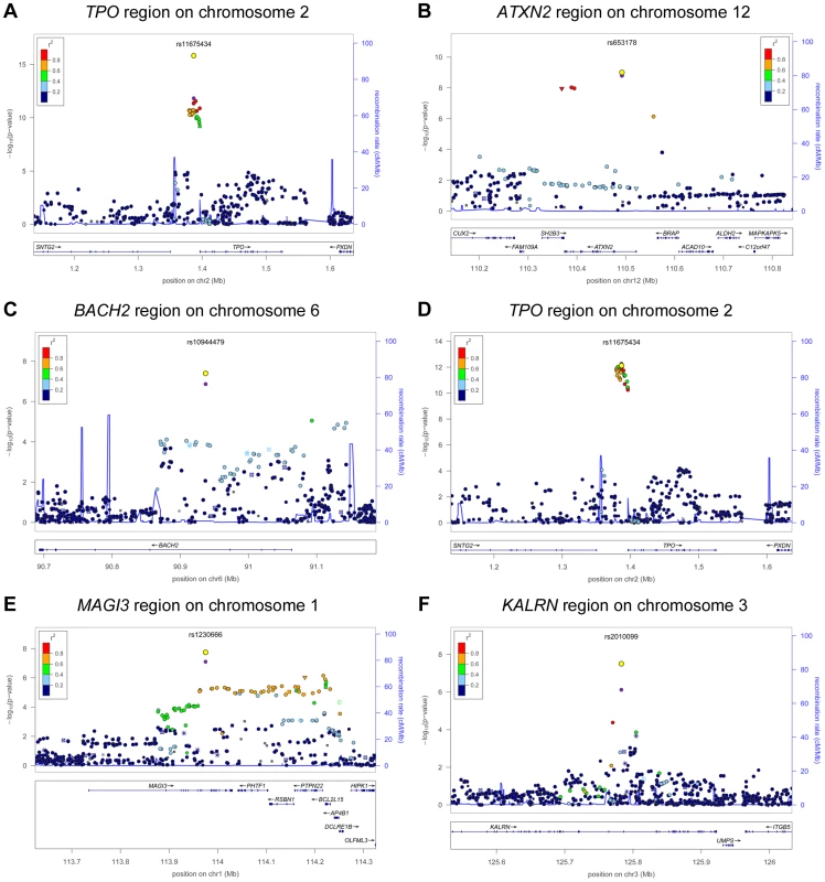 Genome wide association studies meta-analyses: Loci associated with TPOAb-positivity (a–c) and TPOAb levels (d–f) on a genome-wide level of significance.