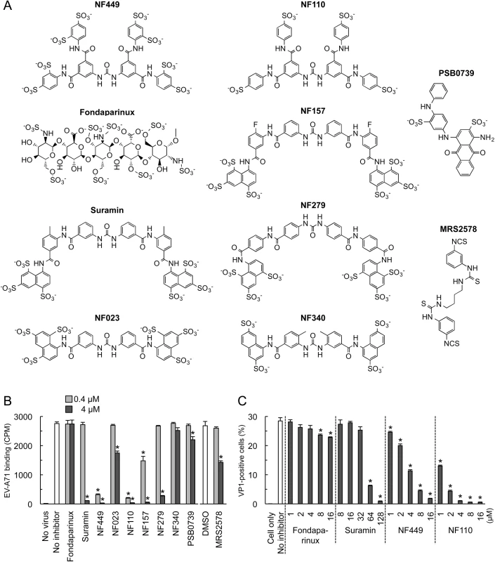 Inhibition of EV-A71 attachment and infection by commercially-available NF449 analogues.