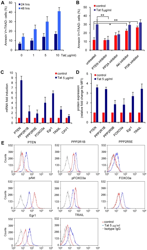 Apoptosis and PI3K pathway modulation in primary CD4+ T cells exposed to exogenous Tat.
