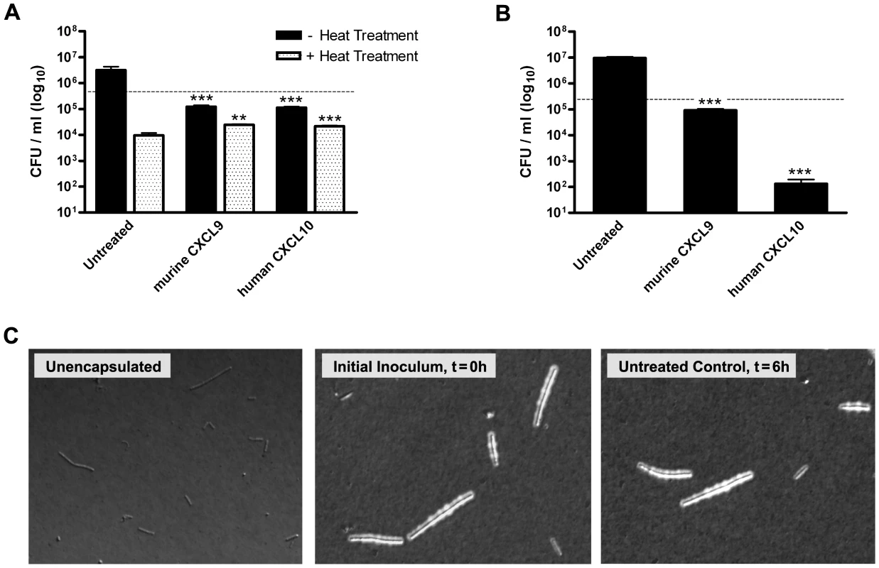 Chemokine-mediated antimicrobial activity against <i>B. anthracis</i> Ames strain spores and encapsulated bacilli.