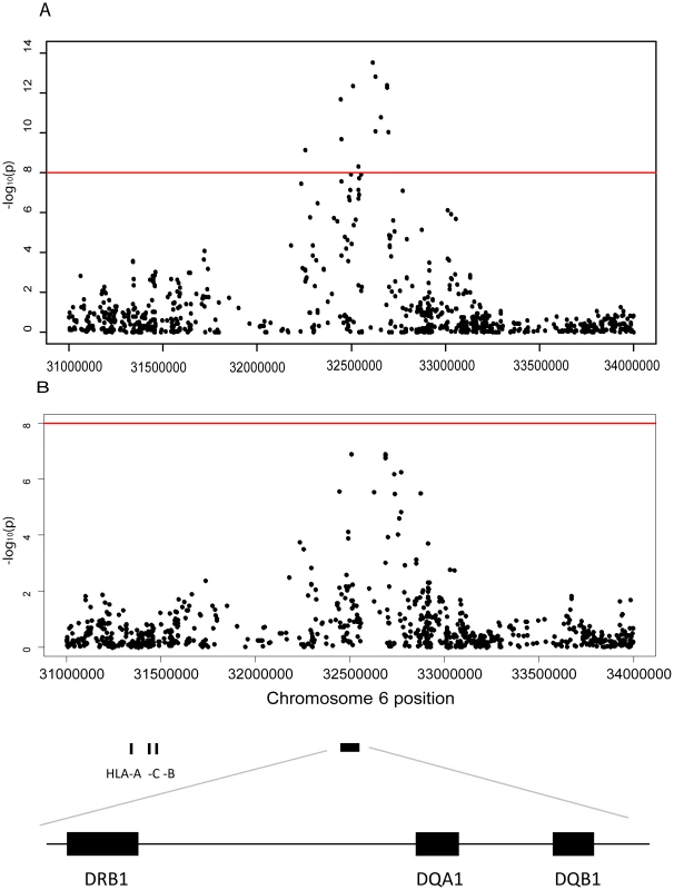 Association between JCA antibody response and markers in the Human Leuococyte region on chromosome 6.