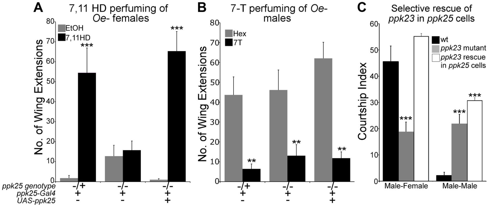 <i>ppk25</i> is required for courtship stimulation by 7,11HD but not for inhibition of courtship by 7-T.