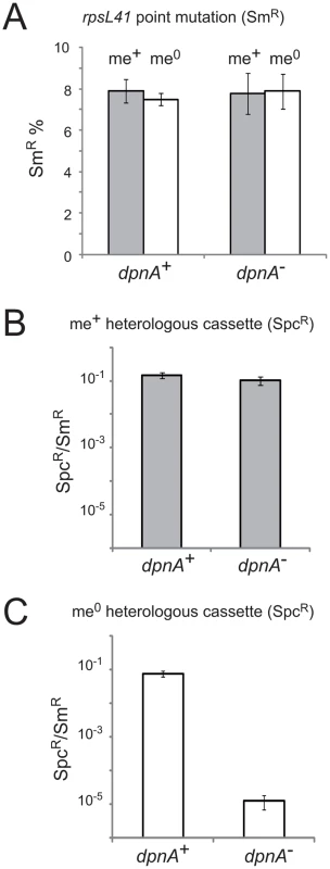 Methylation of ssDNA by DpnA is crucial for protection of heterologous me<sup>0</sup> DNA from <i>Dpn</i>II restriction.