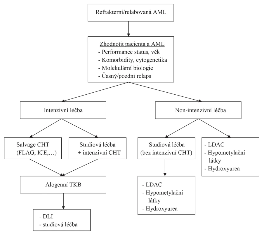 Algoritmus pro léčbu refrakterní/relabované AML (volně upraveno podle Thol et al., 2015, [11])
