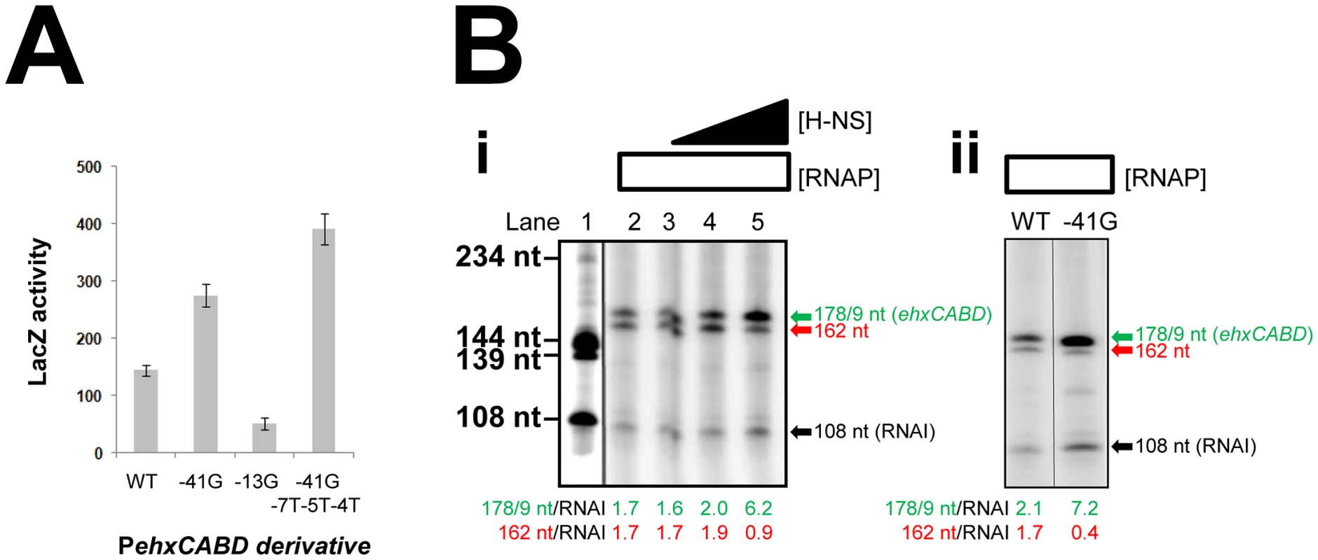 Transcription from P<i>ehxCABD</i> is inhibited by overlapping RNA polymerase binding sites.