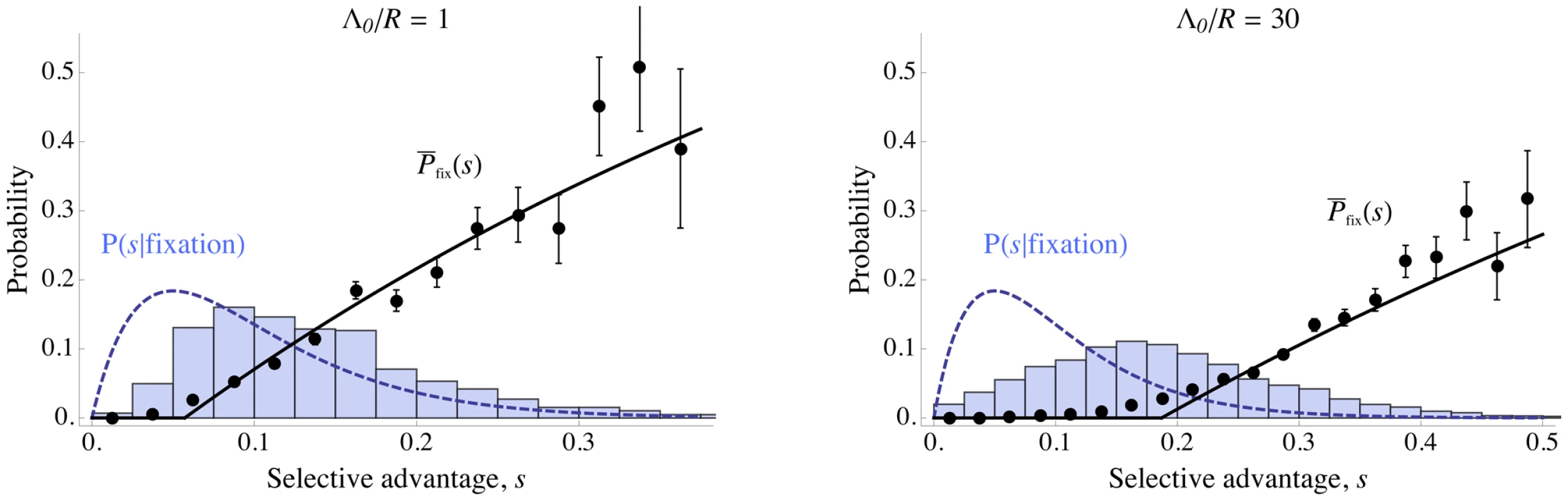 Effect of interference on distribution of successful mutations.