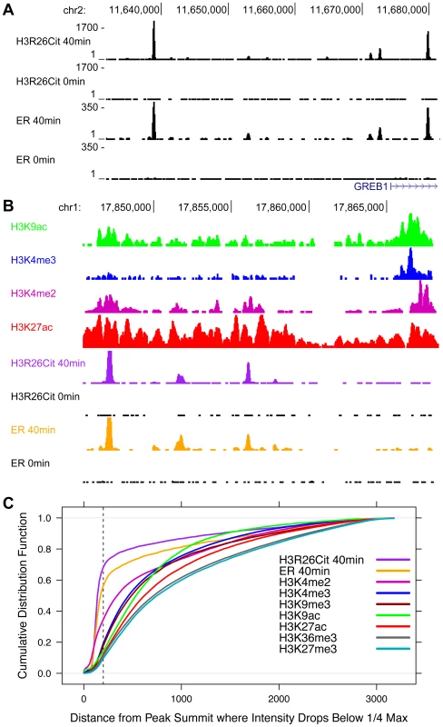 The genomic profile of H3R26Cit is uniquely discrete compared to other histone modifications.