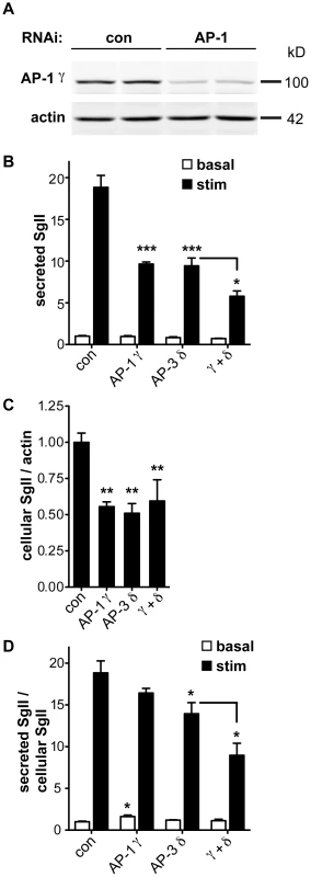 AP-1 knockdown potentiates the effect of AP-3 knockdown on regulated secretion.