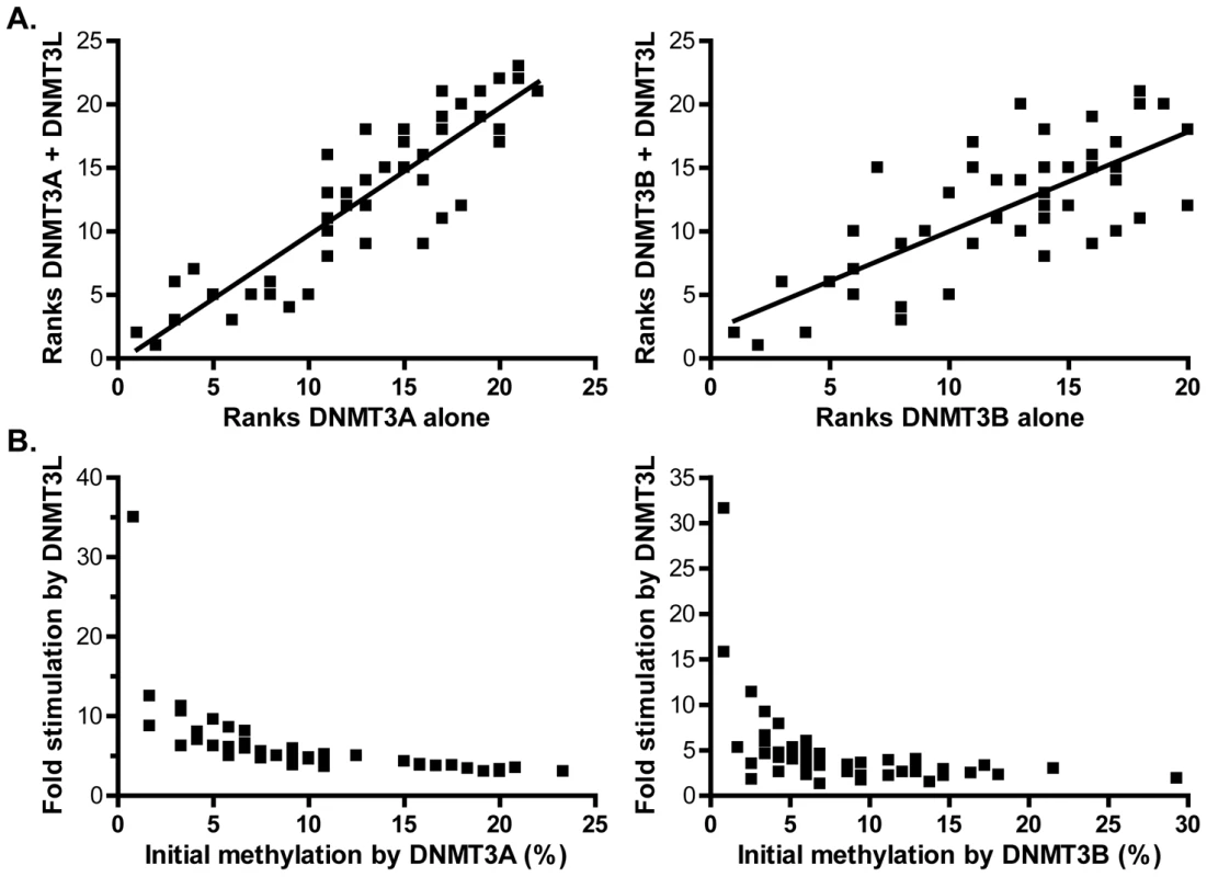 DNMT3L modulates DNA methylation pattern formation by DNMT3A or DNMT3B.