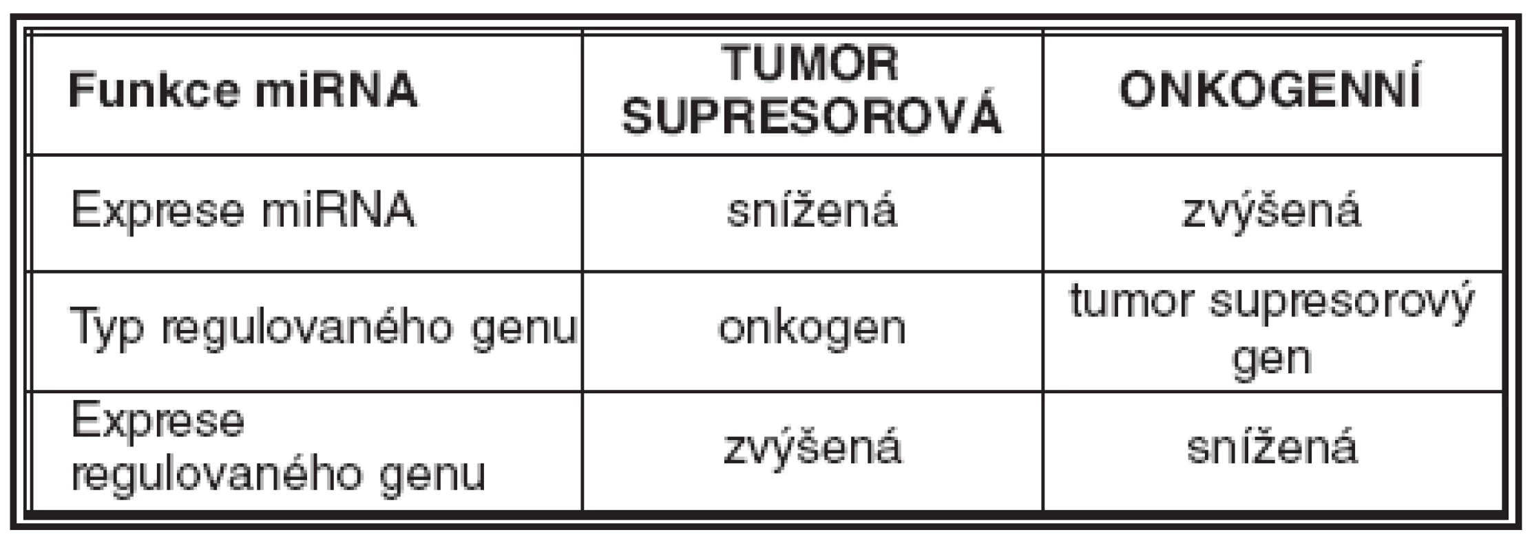 Přehled funkcí miRNA v tumorigenezi