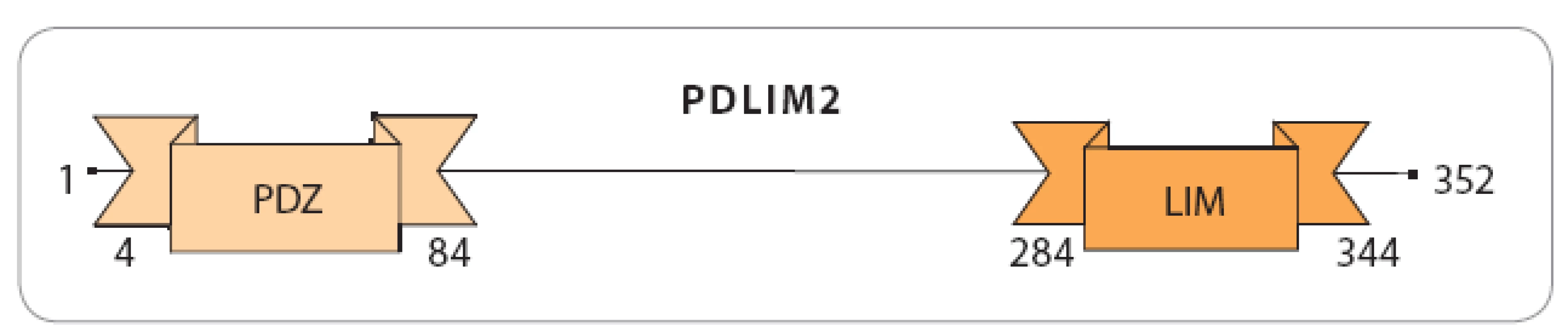 Domény PDLIM2.
