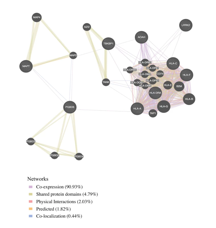 Network interaction graph predominantly illustrating co-expression and shared protein domains for functionally expressed pleiotropic genes between frontotemporal dementia (FTD) and immune-related diseases.