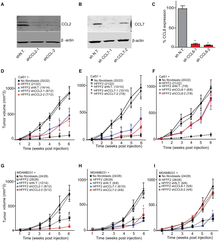 shRNA silencing of <i>CCL2</i>, <i>CCL7</i> or <i>CCL8</i> in tumor-supportive fibroblasts reduces their ability to promote tumorigenicity.