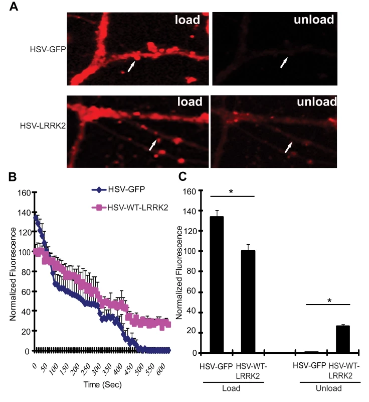 Expression of LRRK2 causes vesicular trafficking defects in neurons.
