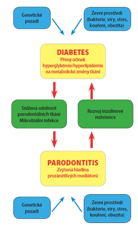 Diabetes mellitus jako rizikový faktor pro vznik parodontitidy a mechanismus, kterým může ovlivňovat vznik inzulinové rezistence