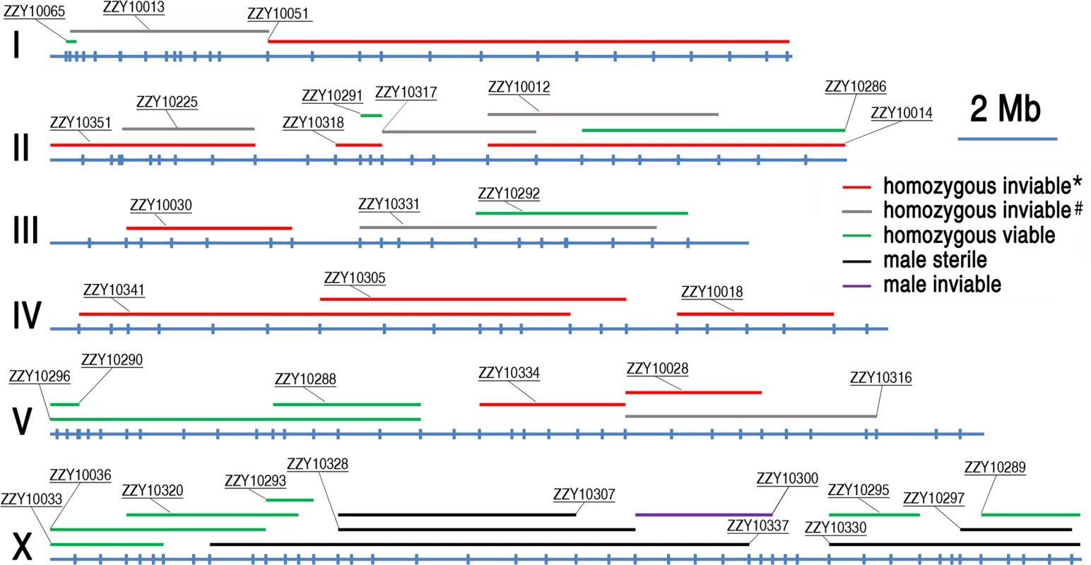 A genome-wide hybrid incompatible landscape between <i>C. briggsae</i> and <i>C. nigoni</i>.