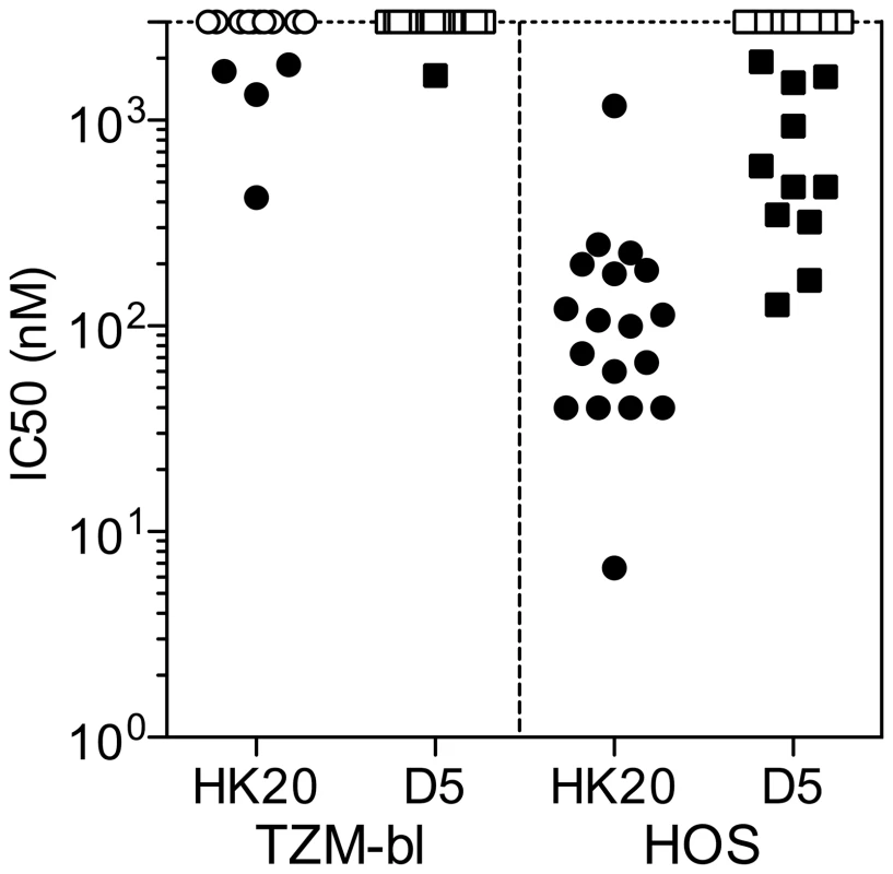 Comparison of HK20 IgG and D5 IgG in TZM-bl and HOS-based neutralization assays.