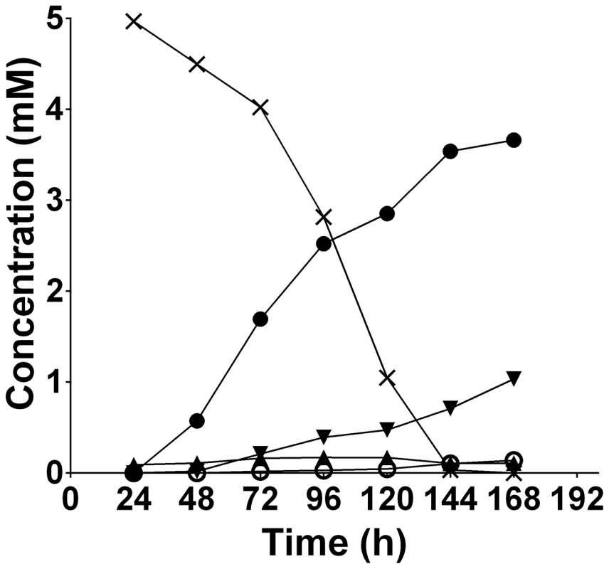 The extracellular products of <i>T. denticola</i> [U-<sup>13</sup>C]glycine fermentation.