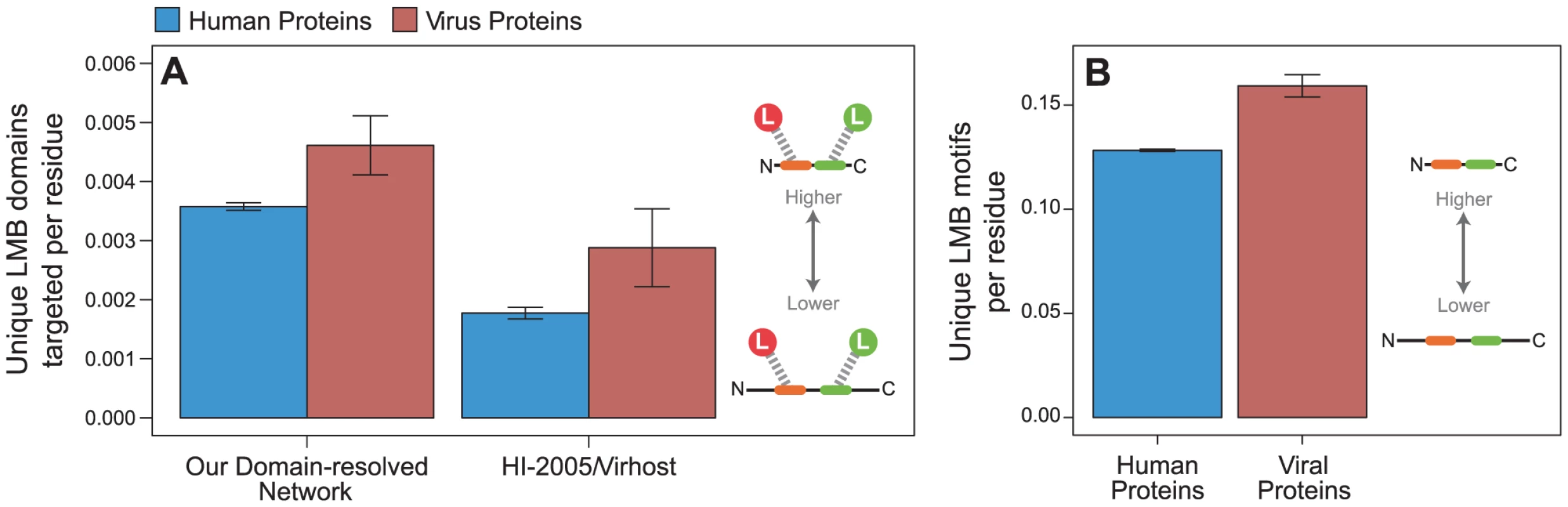 Viral proteins target LMB domains at greater density than human proteins.