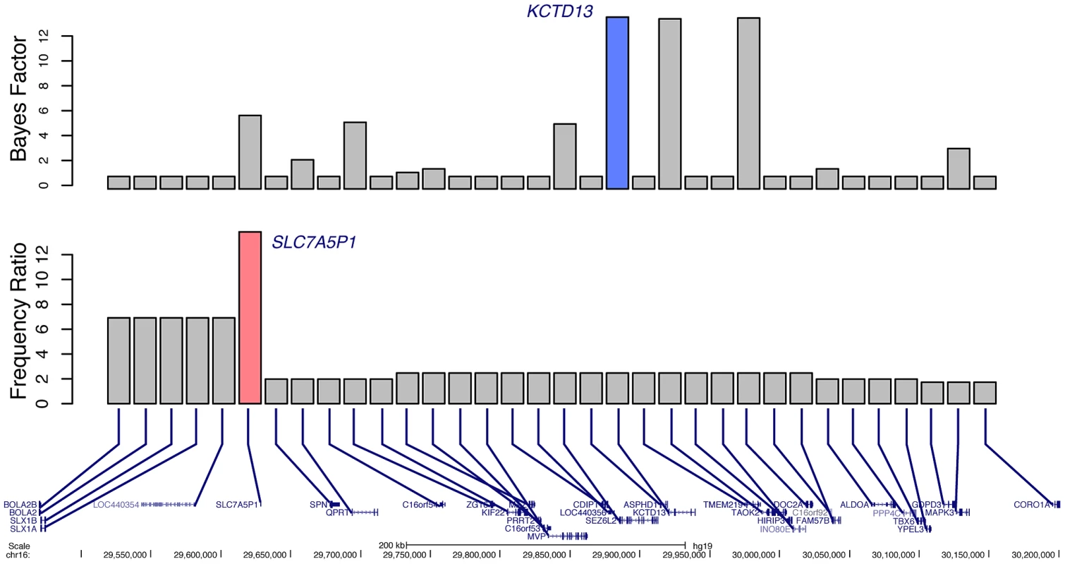Prioritization of candidate genes at the 16p11.2 locus. Bottom
