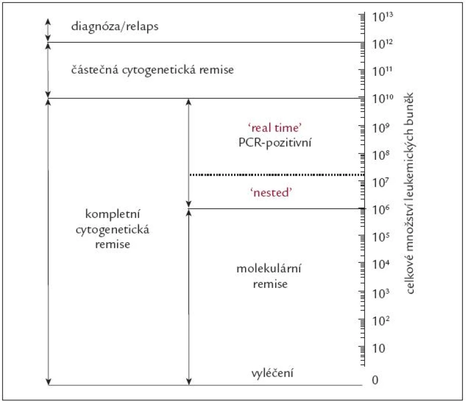 Schematické znázornění celkového počtu Ph&lt;sup&gt;1&lt;/sup&gt; pozitivních buněk v těle nemocného s CML v jednotlivých fázích choroby.