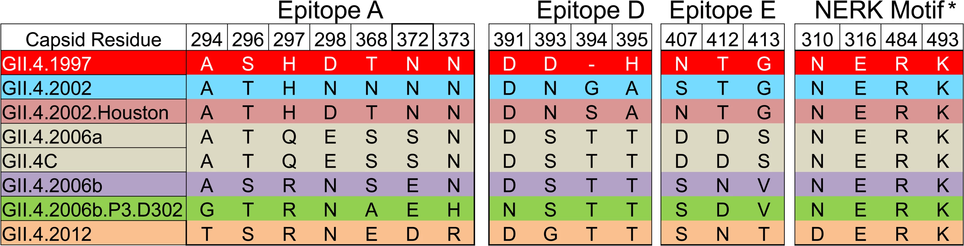 Amino acid sequence of identified GII.4 blockade antibody epitopes (A, D, and E) and the regulating domain of epitope F (NERK motif) in GII.4 virus-like particles relevant to this study.