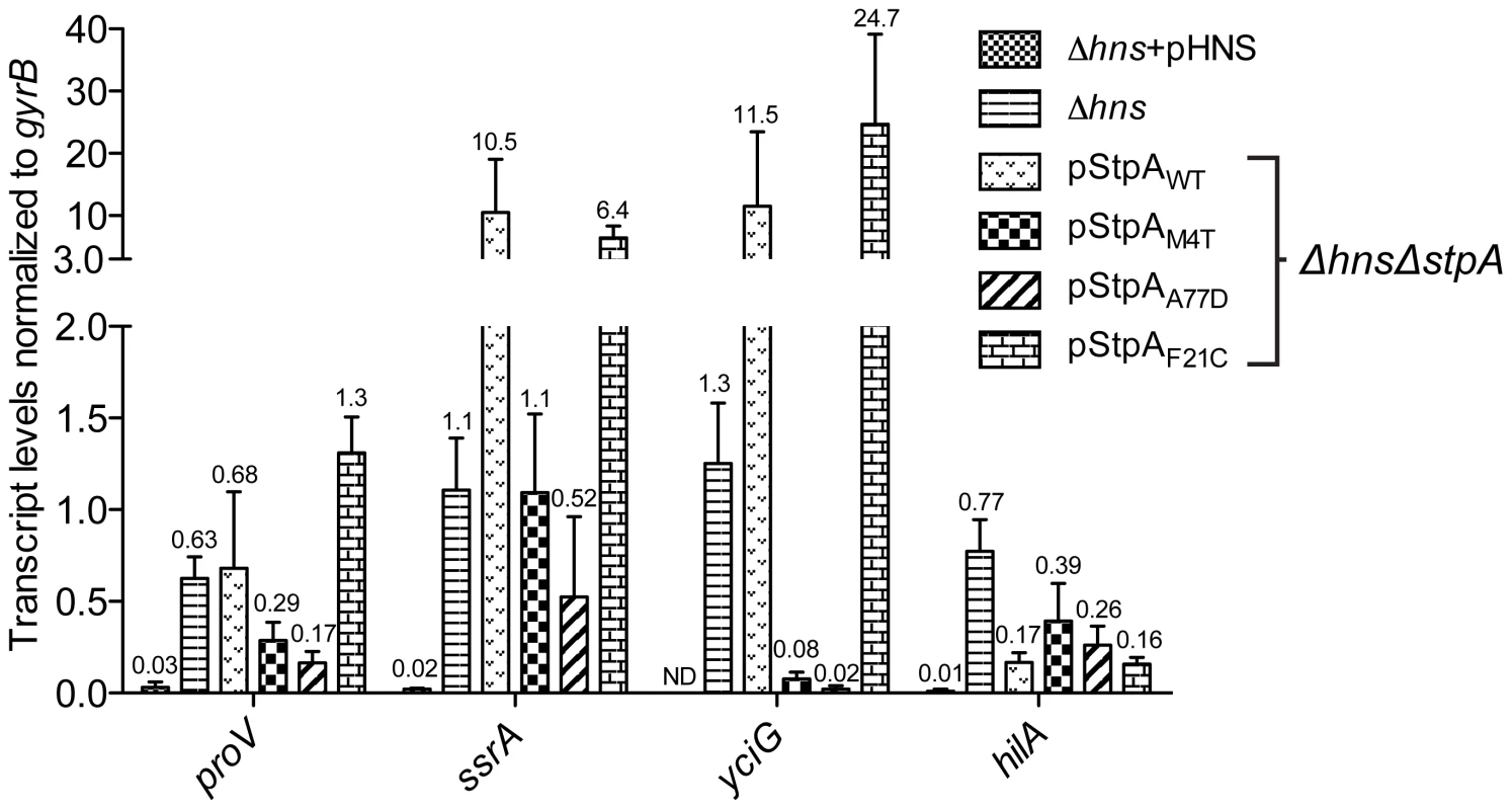 Point mutations A77D and M4T enhance StpA repression of select <i>hns</i> regulated loci.