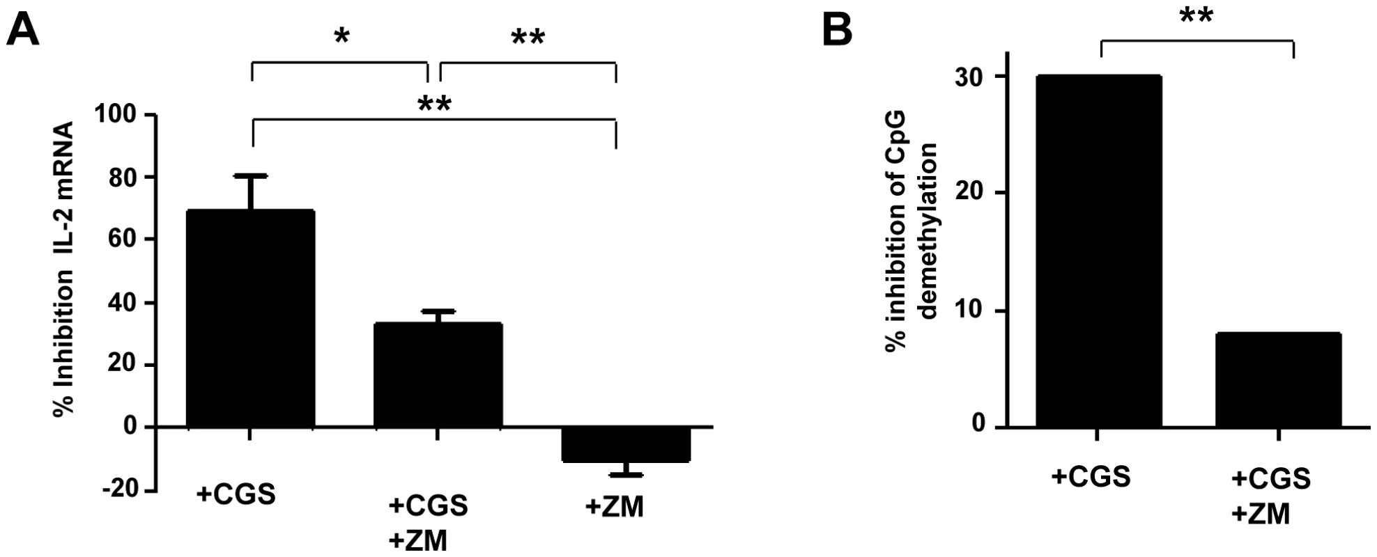 Inhibition of IL-2 production by A2AR induced signals during the activation of naive TCD4+ lymphocytes.