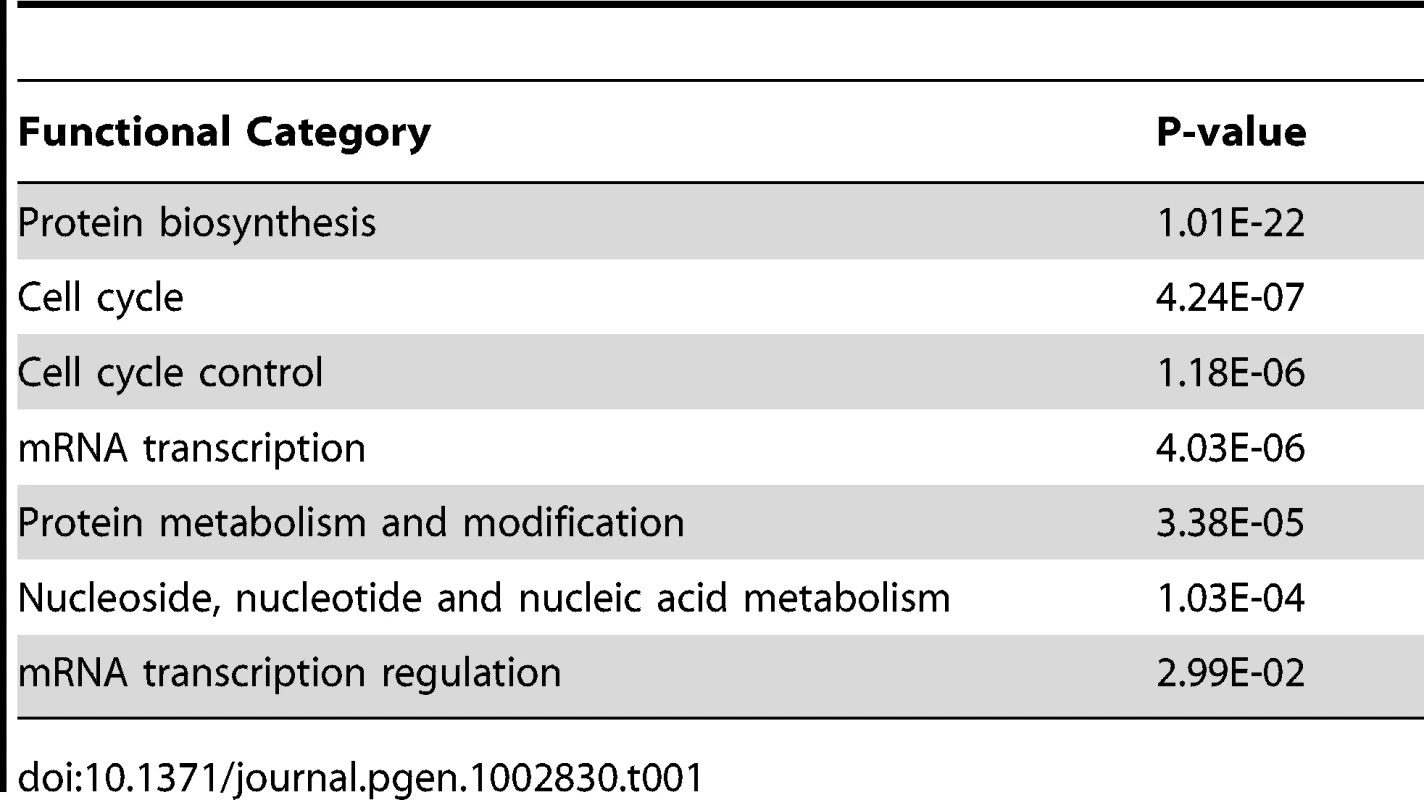 Gene ontology categories that were enriched in the genome-wide RNAi screen.
