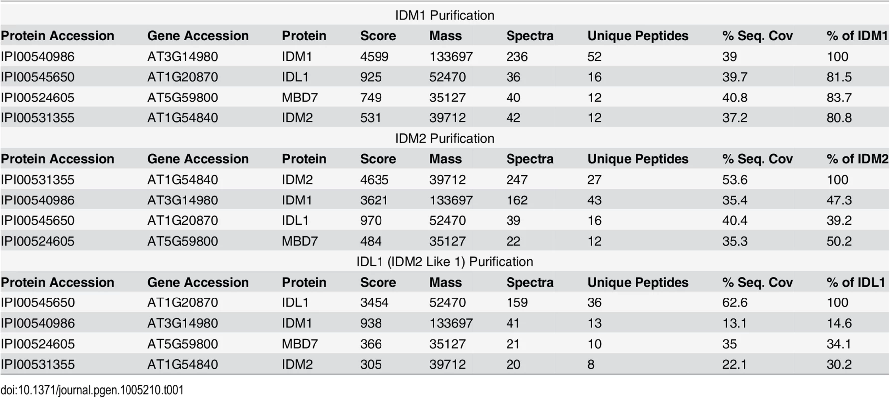 Mass-spectrometric analysis of IDM1, IDM2 and IDL1 co-purifying proteins.