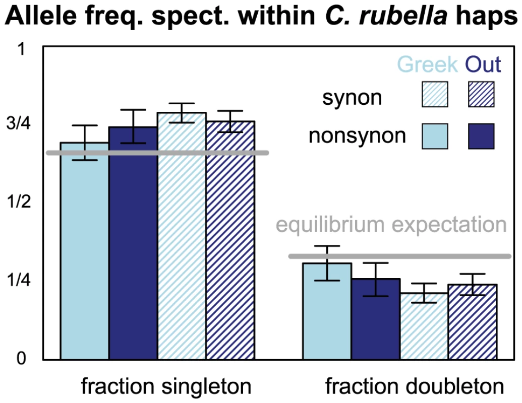 The allele frequency spectrum within <i>C. rubella</i>'s founding haplotypes.
