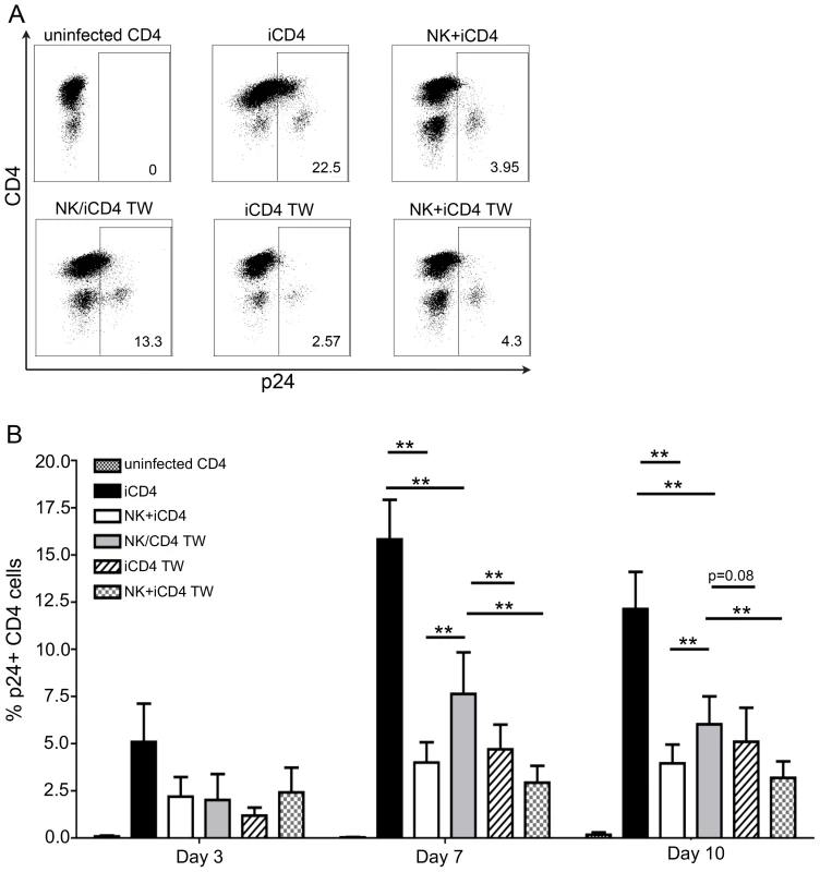 NK cells inhibit HIV replication in autologous HIV infected CD4 T cells in a contact dependent manner.