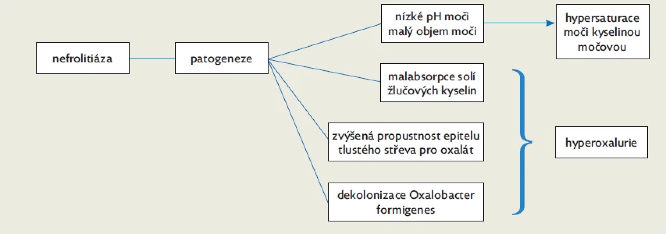 Patogeneze nefrolitiázy u pacientů s IIBD, upraveno dle(17)