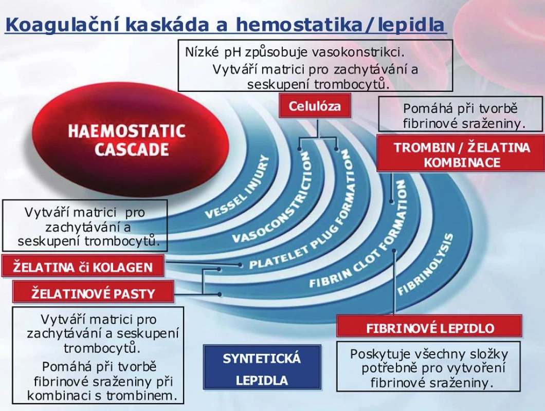 Koagulační kaskáda a hemostatika/lepidla
