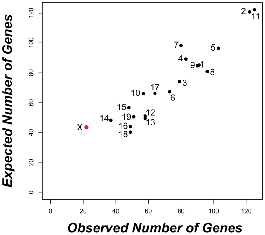 Strong conservation of testis expression on the X chromosome between species.