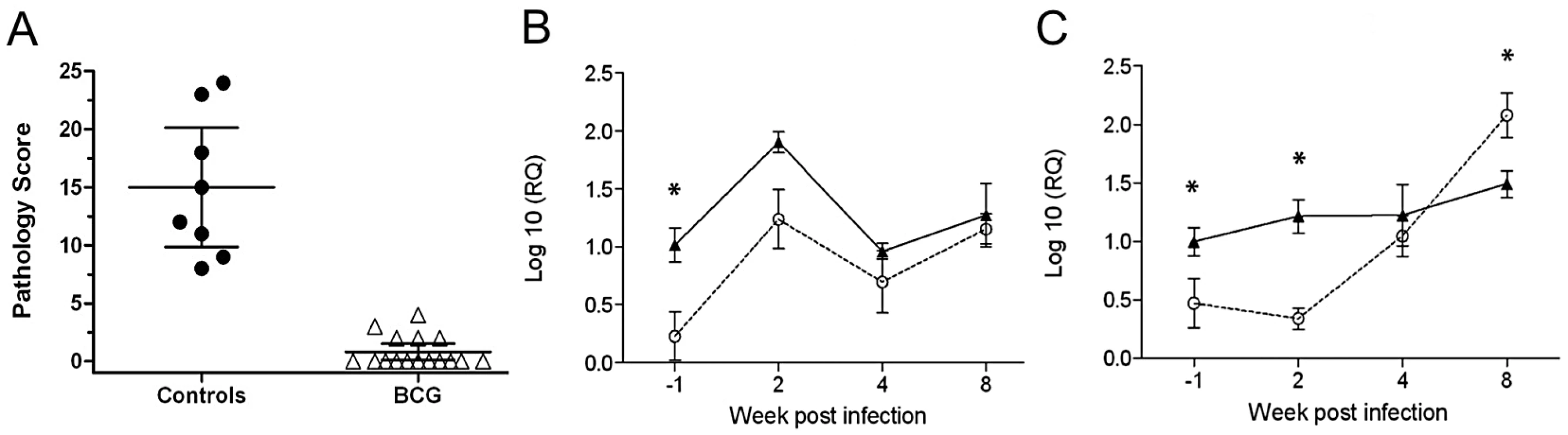 Gene expression in PPDB-stimulated PBMC from BCG vaccinated and control cattle.