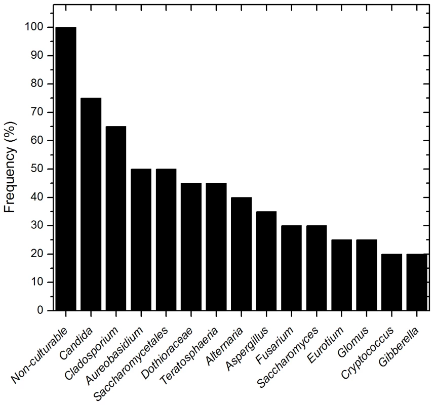 Frequency of fungal genera present in more than 20 percent of the tested samples.
