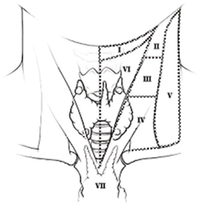 Krční kompartmenty
Fig. 1: Neck compartments