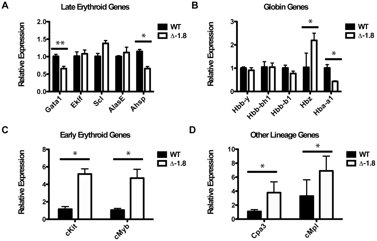 Disrupted gene expression in Δ-1.8 erythroblasts.