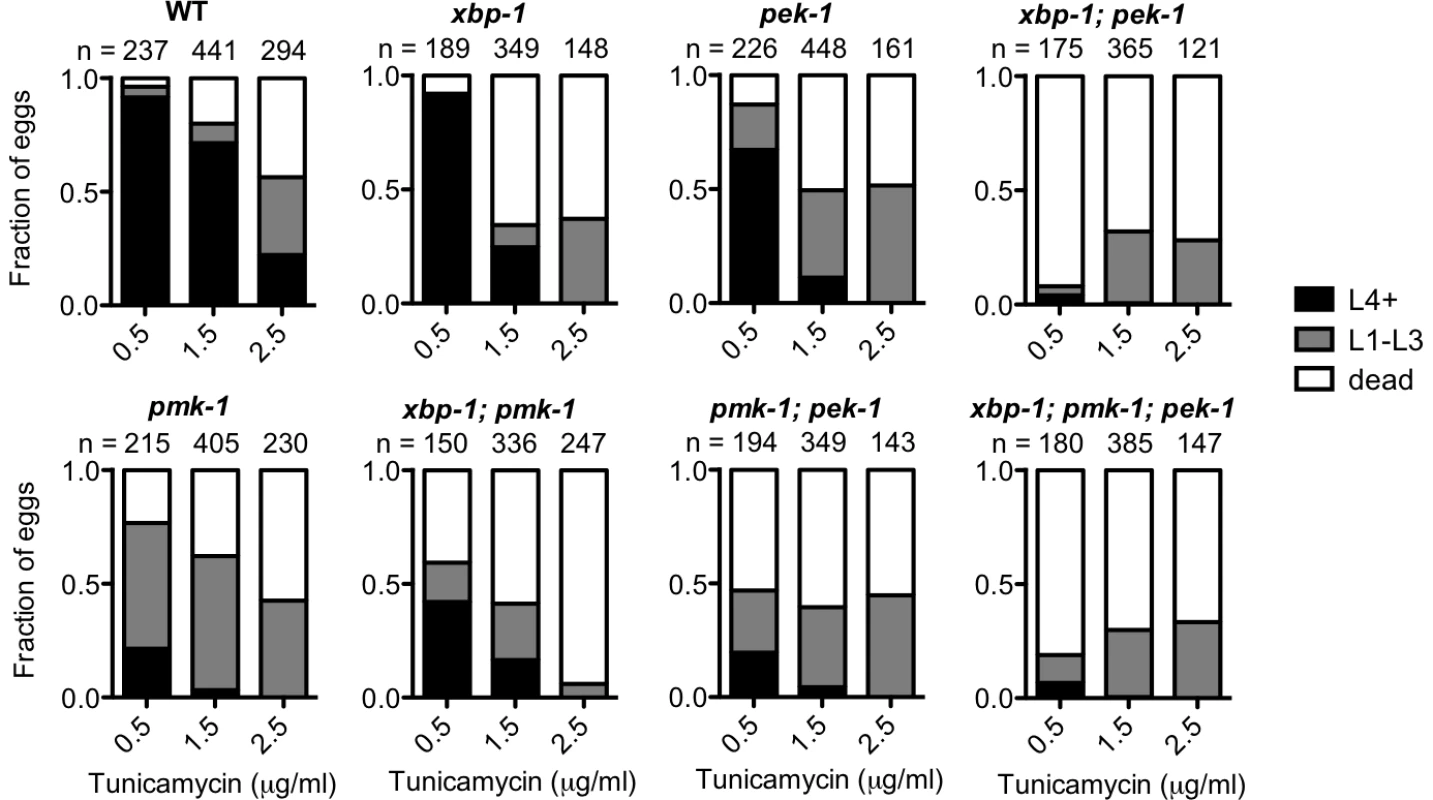 PMK-1 protects against exogenously induced ER stress.