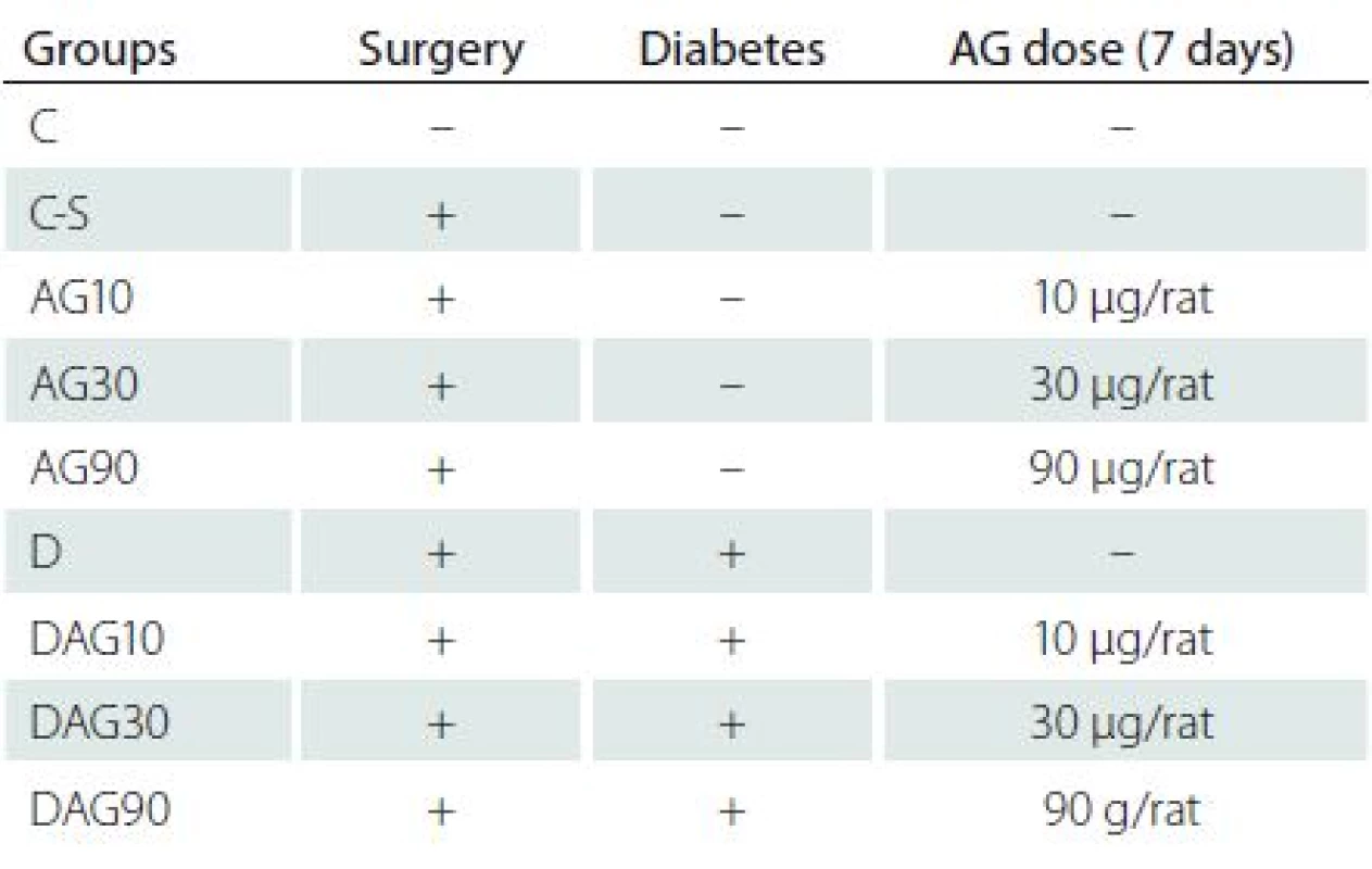 Details of groups, surgery and diabetes induced by STZ and dose of AG which administered. (+) shows surgery or diabetes.