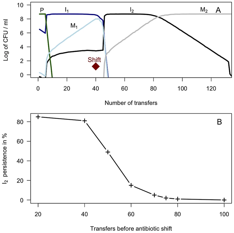 2A) Simulation results depicting the dynamics of integron-containing and - free populations driven by competition and antibiotic selection in serial transfer cultures.