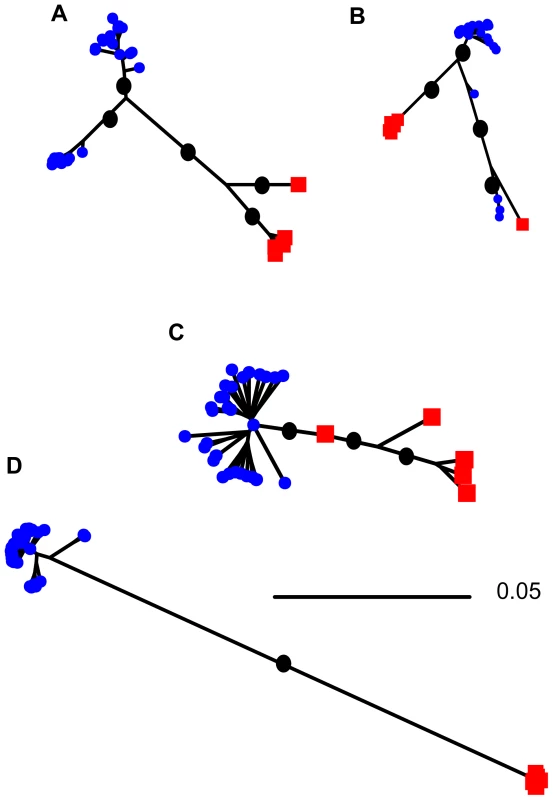 Neighbor-joining trees showing relationships among sequences sampled from <i>S. meliloti</i> (blue squares) and <i>S. medicae</i> (red circles) for genes showing evidence of horizontal gene transfer.
