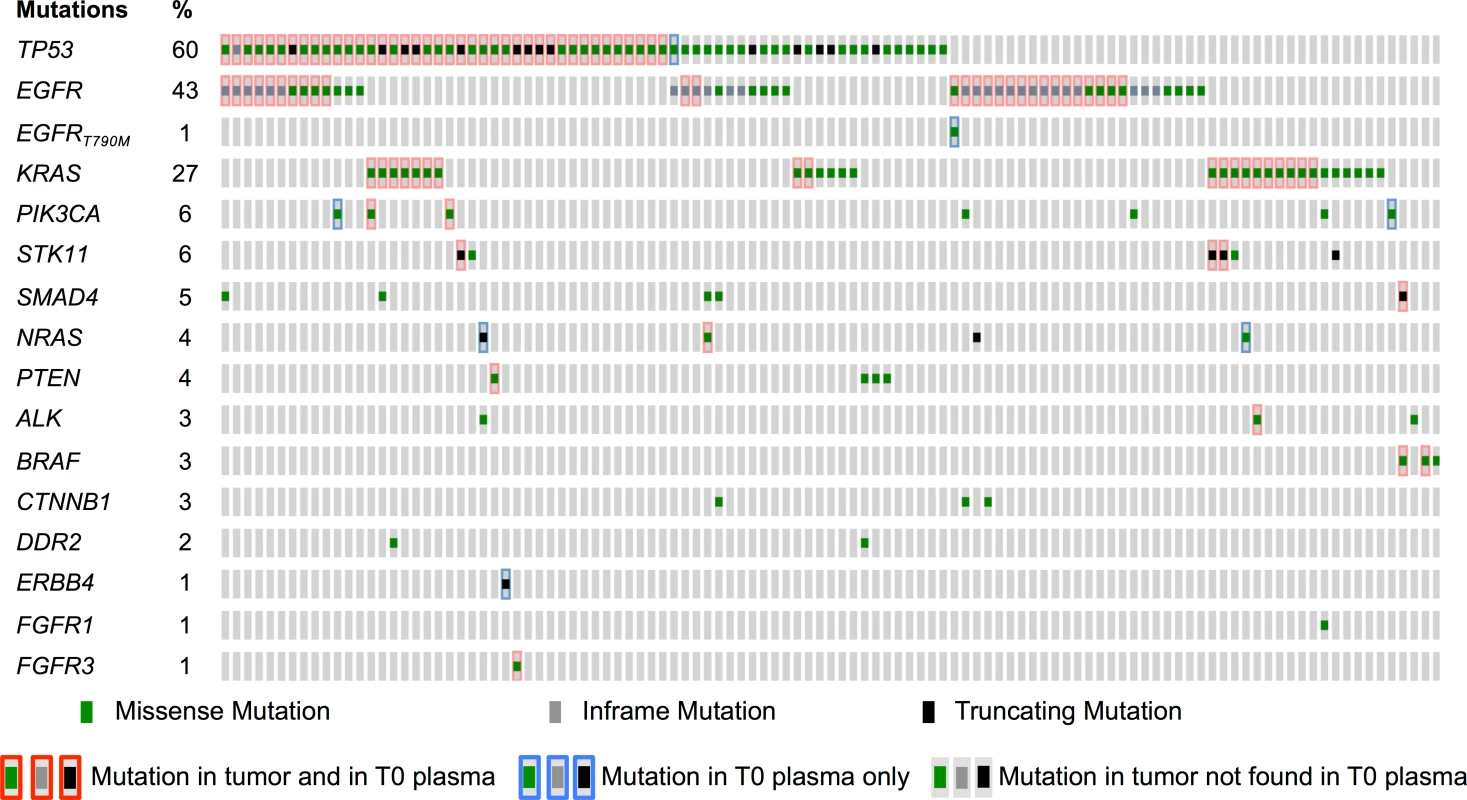 Mutations identified in tumor and in baseline plasma samples.