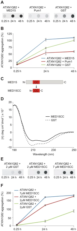 The N-terminal CC domain in MED15 enhances polyQ-mediated ATXN1 aggregation in cell-free assays.