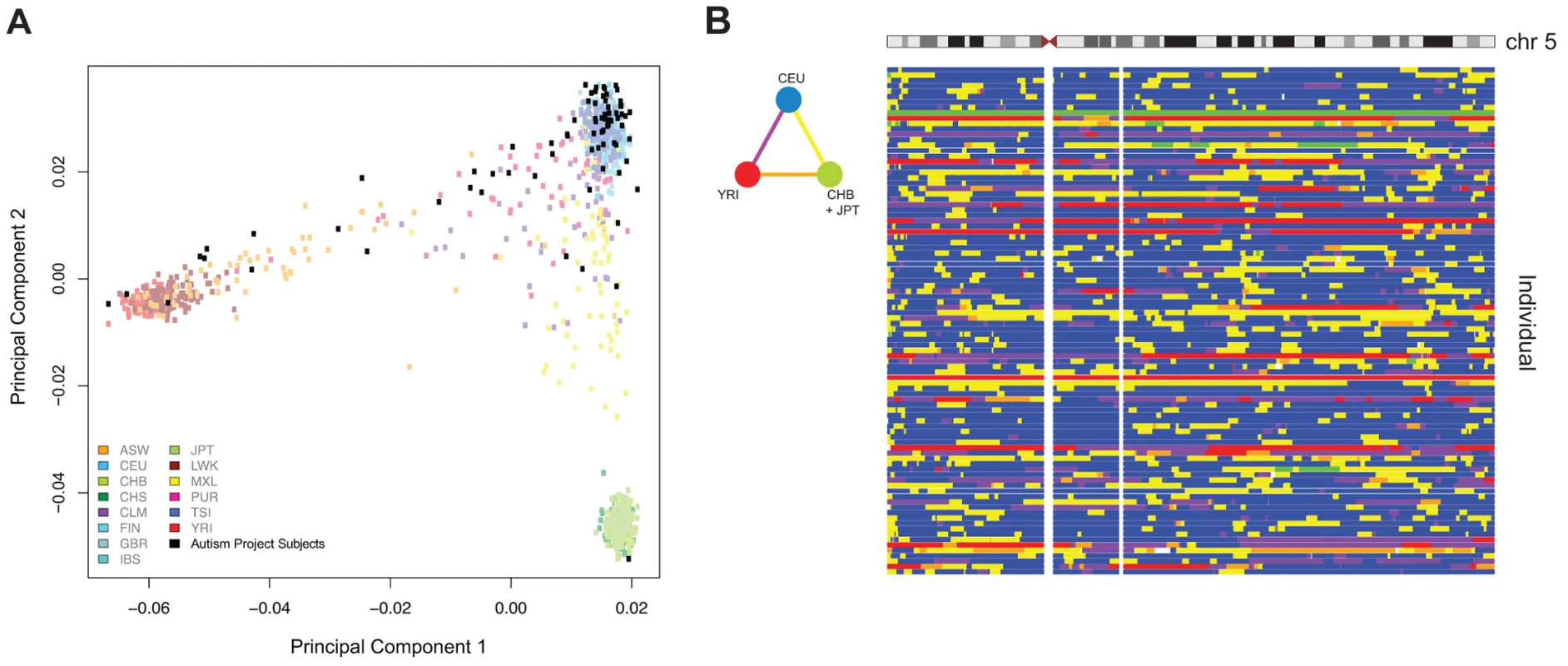 Principal components analysis (PCA) of ASD project genotypes with 1000 Genomes data and local ancestry deconvolution across chromosome 5. (A) Autism Project Subjects